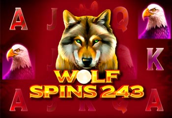 Wolf Spins 243